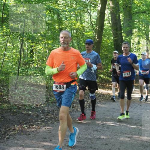 22.09.2024 - 32. Volkslauf durch das schöne Alstertal Miley Keyser http://msf.ph/oto/7137053 22.09.2024 10:23:37 Laufen 1688, 1763, 1655 meine-sportfotos.de
