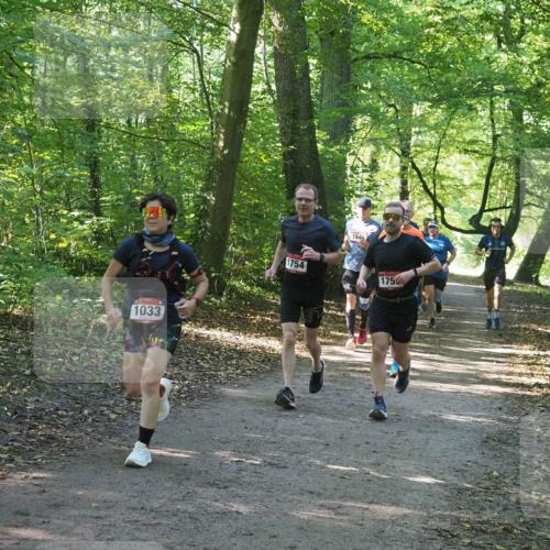 22.09.2024 - 32. Volkslauf durch das schöne Alstertal Miley Keyser http://msf.ph/oto/7137058 22.09.2024 10:23:34 Laufen 1033, 1754, 1646, 175 meine-sportfotos.de