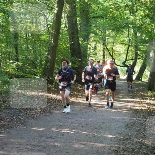 22.09.2024 - 32. Volkslauf durch das schöne Alstertal Miley Keyser http://msf.ph/oto/7137061 22.09.2024 10:23:33 Laufen 1033, 1754, 46, 1755 meine-sportfotos.de