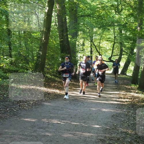 22.09.2024 - 32. Volkslauf durch das schöne Alstertal Miley Keyser http://msf.ph/oto/7137062 22.09.2024 10:23:32 Laufen 1033, 754, 175 meine-sportfotos.de