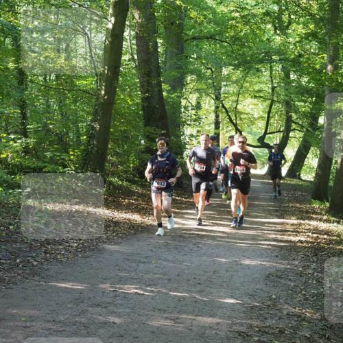 22.09.2024 - 32. Volkslauf durch das schöne Alstertal Miley Keyser http://msf.ph/oto/7137066 22.09.2024 10:23:32 Laufen 1033, 1754, 1755 meine-sportfotos.de
