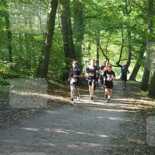 22.09.2024 - 32. Volkslauf durch das schöne Alstertal Miley Keyser http://msf.ph/oto/7137067 22.09.2024 10:23:32 Laufen 33, 1754, 1755 meine-sportfotos.de