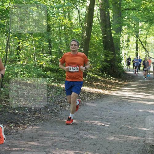 22.09.2024 - 32. Volkslauf durch das schöne Alstertal Miley Keyser http://msf.ph/oto/7137068 22.09.2024 10:23:27 Laufen 7024, 1620 meine-sportfotos.de