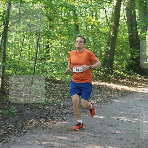 22.09.2024 - 32. Volkslauf durch das schöne Alstertal Miley Keyser http://msf.ph/oto/7137069 22.09.2024 10:23:28 Laufen 1620 meine-sportfotos.de