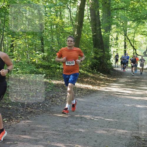 22.09.2024 - 32. Volkslauf durch das schöne Alstertal Miley Keyser http://msf.ph/oto/7137072 22.09.2024 10:23:27 Laufen 7024, 1620 meine-sportfotos.de