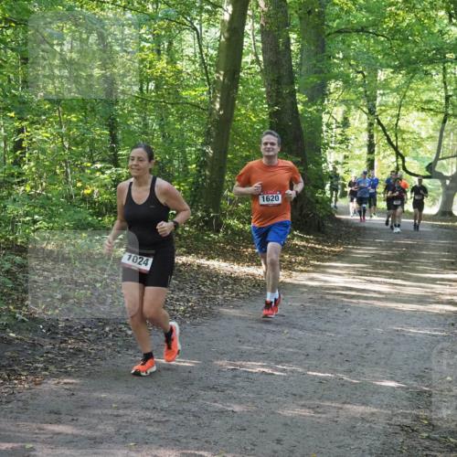 22.09.2024 - 32. Volkslauf durch das schöne Alstertal Miley Keyser http://msf.ph/oto/7137073 22.09.2024 10:23:26 Laufen 1024, 1620 meine-sportfotos.de