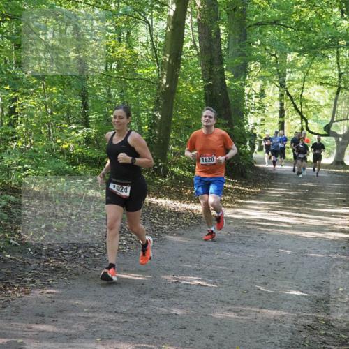 22.09.2024 - 32. Volkslauf durch das schöne Alstertal Miley Keyser http://msf.ph/oto/7137075 22.09.2024 10:23:26 Laufen 1024, 1620 meine-sportfotos.de