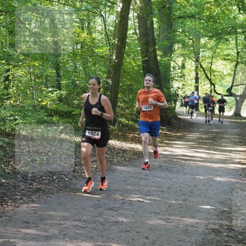 22.09.2024 - 32. Volkslauf durch das schöne Alstertal Miley Keyser http://msf.ph/oto/7137076 22.09.2024 10:23:26 Laufen 1024, 1620 meine-sportfotos.de