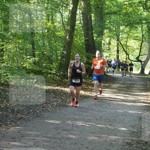 22.09.2024 - 32. Volkslauf durch das schöne Alstertal Miley Keyser http://msf.ph/oto/7137077 22.09.2024 10:23:25 Laufen 1024, 1620 meine-sportfotos.de