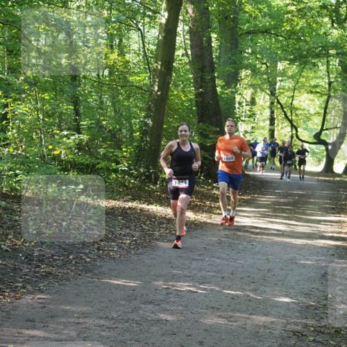 22.09.2024 - 32. Volkslauf durch das schöne Alstertal Miley Keyser http://msf.ph/oto/7137078 22.09.2024 10:23:25 Laufen 1024, 1620 meine-sportfotos.de