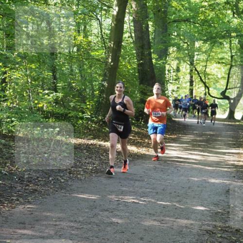 22.09.2024 - 32. Volkslauf durch das schöne Alstertal Miley Keyser http://msf.ph/oto/7137079 22.09.2024 10:23:25 Laufen 1620 meine-sportfotos.de