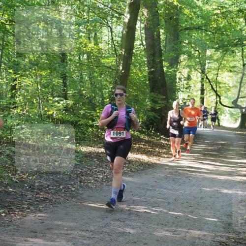 22.09.2024 - 32. Volkslauf durch das schöne Alstertal Miley Keyser http://msf.ph/oto/7137080 22.09.2024 10:23:24 Laufen 1091, 1024, 1620 meine-sportfotos.de