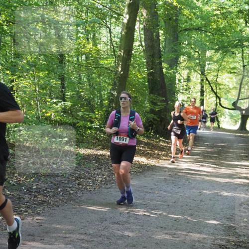 22.09.2024 - 32. Volkslauf durch das schöne Alstertal Miley Keyser http://msf.ph/oto/7137081 22.09.2024 10:23:23 Laufen 1625, 1091, 924, 620 meine-sportfotos.de