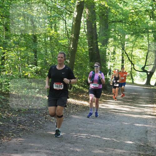 22.09.2024 - 32. Volkslauf durch das schöne Alstertal Miley Keyser http://msf.ph/oto/7137083 22.09.2024 10:23:22 Laufen 1625, 1091, 1620 meine-sportfotos.de