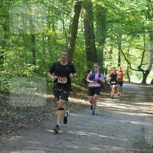 22.09.2024 - 32. Volkslauf durch das schöne Alstertal Miley Keyser http://msf.ph/oto/7137085 22.09.2024 10:23:22 Laufen 1625, 1024, 1091 meine-sportfotos.de