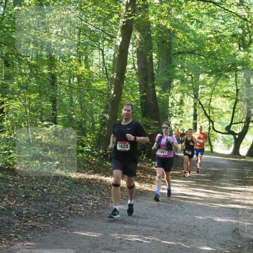 22.09.2024 - 32. Volkslauf durch das schöne Alstertal Miley Keyser http://msf.ph/oto/7137086 22.09.2024 10:23:22 Laufen 1625, 1091, 24, 20 meine-sportfotos.de