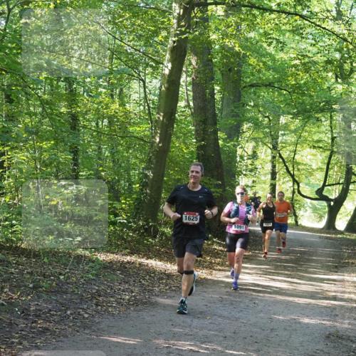22.09.2024 - 32. Volkslauf durch das schöne Alstertal Miley Keyser http://msf.ph/oto/7137087 22.09.2024 10:23:22 Laufen 620, 1625, 1024, 1091 meine-sportfotos.de