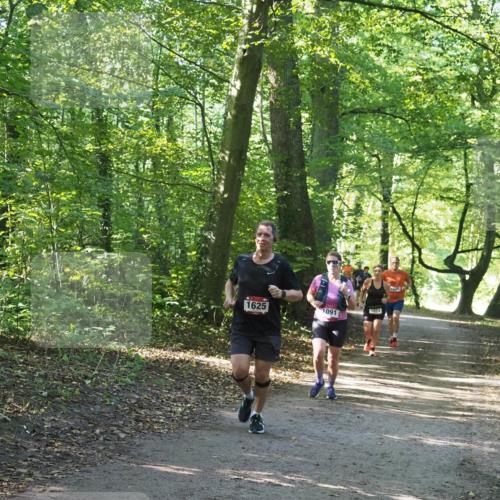 22.09.2024 - 32. Volkslauf durch das schöne Alstertal Miley Keyser http://msf.ph/oto/7137088 22.09.2024 10:23:22 Laufen 1625, 1091, 1024, 620 meine-sportfotos.de