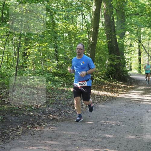22.09.2024 - 32. Volkslauf durch das schöne Alstertal Miley Keyser http://msf.ph/oto/7137098 22.09.2024 10:23:06 Laufen 1622 meine-sportfotos.de