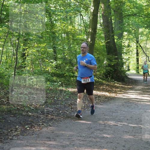 22.09.2024 - 32. Volkslauf durch das schöne Alstertal Miley Keyser http://msf.ph/oto/7137100 22.09.2024 10:23:06 Laufen 1622 meine-sportfotos.de