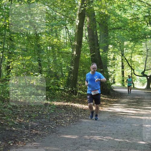 22.09.2024 - 32. Volkslauf durch das schöne Alstertal Miley Keyser http://msf.ph/oto/7137103 22.09.2024 10:23:05 Laufen 1622 meine-sportfotos.de