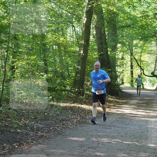 22.09.2024 - 32. Volkslauf durch das schöne Alstertal Miley Keyser http://msf.ph/oto/7137104 22.09.2024 10:23:05 Laufen 1622 meine-sportfotos.de