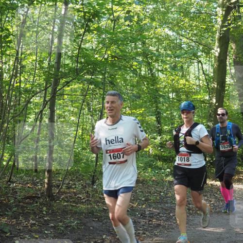 22.09.2024 - 32. Volkslauf durch das schöne Alstertal Miley Keyser http://msf.ph/oto/7137118 22.09.2024 10:22:59 Laufen 1607, 1018, 1626 meine-sportfotos.de