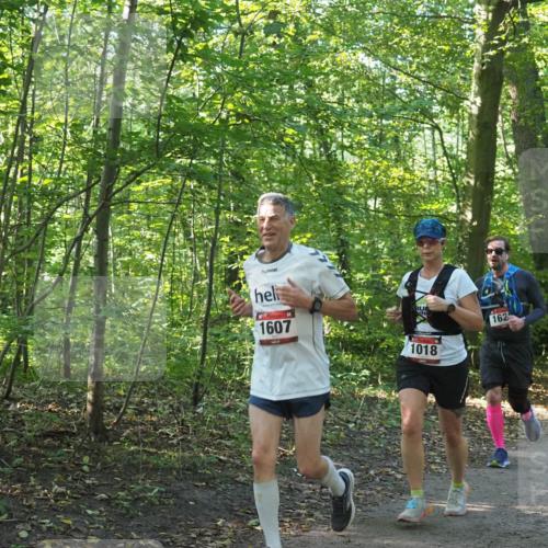22.09.2024 - 32. Volkslauf durch das schöne Alstertal Miley Keyser http://msf.ph/oto/7137119 22.09.2024 10:22:59 Laufen 1607, 162, 1018 meine-sportfotos.de