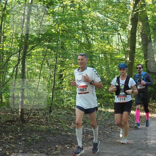 22.09.2024 - 32. Volkslauf durch das schöne Alstertal Miley Keyser http://msf.ph/oto/7137121 22.09.2024 10:22:59 Laufen 1607, 1626, 1018 meine-sportfotos.de