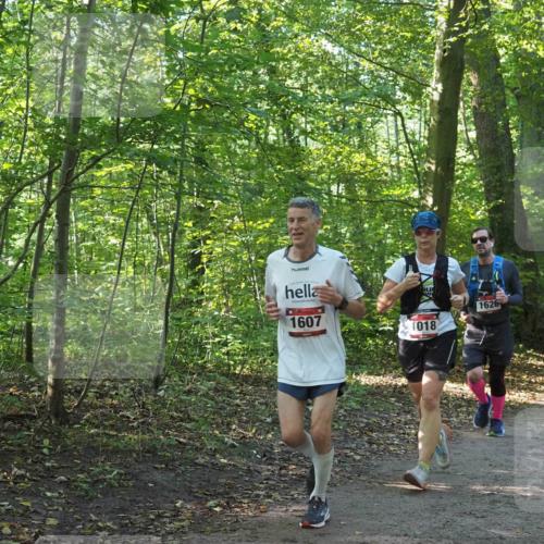 22.09.2024 - 32. Volkslauf durch das schöne Alstertal Miley Keyser http://msf.ph/oto/7137122 22.09.2024 10:22:59 Laufen 1607, 1018, 1626 meine-sportfotos.de