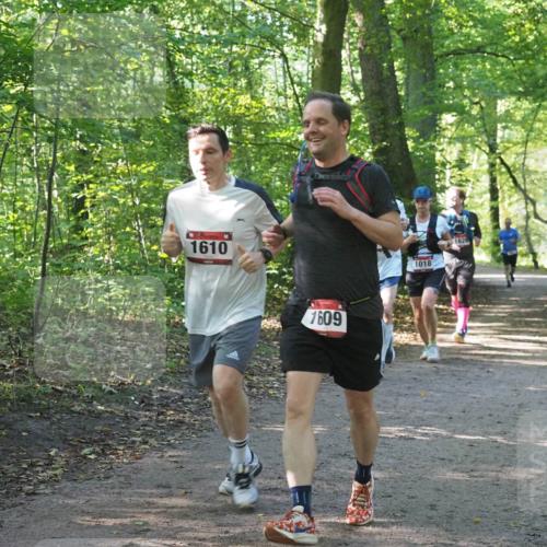 22.09.2024 - 32. Volkslauf durch das schöne Alstertal Miley Keyser http://msf.ph/oto/7137127 22.09.2024 10:22:57 Laufen 1610, 1609, 1018, 1626 meine-sportfotos.de