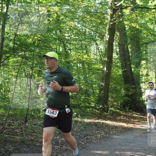 22.09.2024 - 32. Volkslauf durch das schöne Alstertal Miley Keyser http://msf.ph/oto/7137130 22.09.2024 10:22:55 Laufen 1643, 161, 1609 meine-sportfotos.de