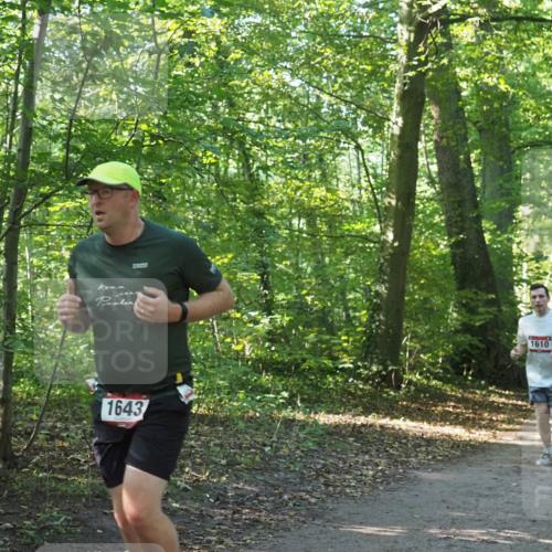 22.09.2024 - 32. Volkslauf durch das schöne Alstertal Miley Keyser http://msf.ph/oto/7137131 22.09.2024 10:22:55 Laufen 1610, 1643, 1609 meine-sportfotos.de