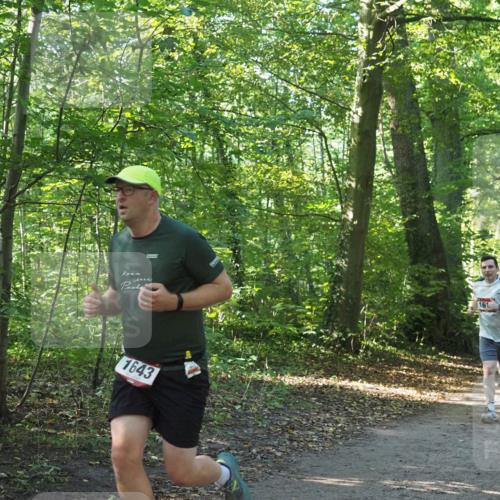 22.09.2024 - 32. Volkslauf durch das schöne Alstertal Miley Keyser http://msf.ph/oto/7137132 22.09.2024 10:22:55 Laufen 1643, 161, 1609 meine-sportfotos.de