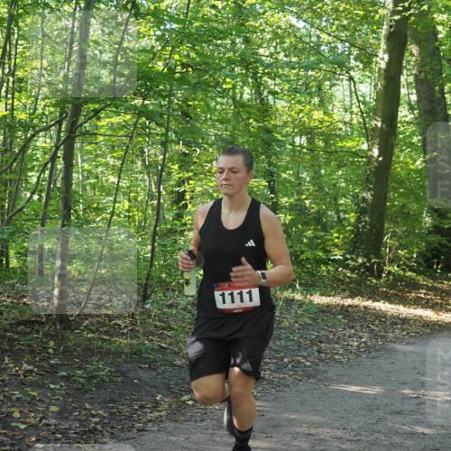 22.09.2024 - 32. Volkslauf durch das schöne Alstertal Miley Keyser http://msf.ph/oto/7137133 22.09.2024 10:22:52 Laufen 1111, 1643 meine-sportfotos.de