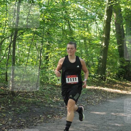 22.09.2024 - 32. Volkslauf durch das schöne Alstertal Miley Keyser http://msf.ph/oto/7137135 22.09.2024 10:22:52 Laufen 1111, 1643 meine-sportfotos.de