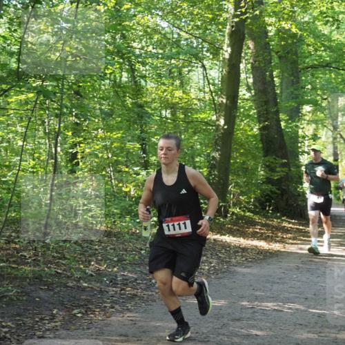 22.09.2024 - 32. Volkslauf durch das schöne Alstertal Miley Keyser http://msf.ph/oto/7137138 22.09.2024 10:22:52 Laufen 1111 meine-sportfotos.de