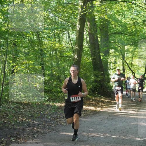 22.09.2024 - 32. Volkslauf durch das schöne Alstertal Miley Keyser http://msf.ph/oto/7137140 22.09.2024 10:22:52 Laufen 1111, 1643 meine-sportfotos.de