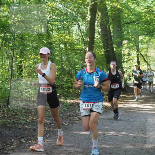 22.09.2024 - 32. Volkslauf durch das schöne Alstertal Miley Keyser http://msf.ph/oto/7137141 22.09.2024 10:22:51 Laufen 1023, 15, 101 meine-sportfotos.de