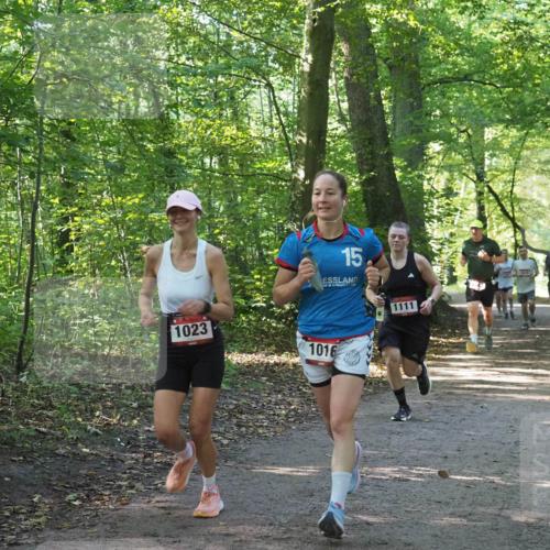 22.09.2024 - 32. Volkslauf durch das schöne Alstertal Miley Keyser http://msf.ph/oto/7137142 22.09.2024 10:22:50 Laufen 1023, 15, 1016, 1111, 1610 meine-sportfotos.de
