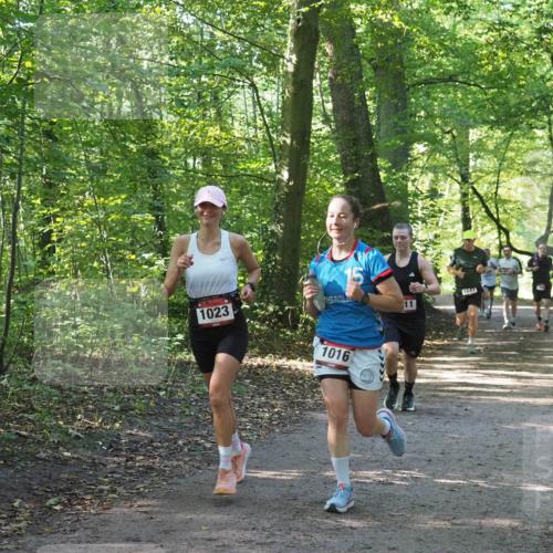 22.09.2024 - 32. Volkslauf durch das schöne Alstertal Miley Keyser http://msf.ph/oto/7137143 22.09.2024 10:22:50 Laufen 1023, 1016, 1643, 11 meine-sportfotos.de