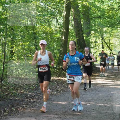 22.09.2024 - 32. Volkslauf durch das schöne Alstertal Miley Keyser http://msf.ph/oto/7137144 22.09.2024 10:22:50 Laufen 1023, 15, 1016, 111, 1643 meine-sportfotos.de