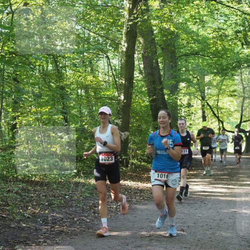 22.09.2024 - 32. Volkslauf durch das schöne Alstertal Miley Keyser http://msf.ph/oto/7137145 22.09.2024 10:22:50 Laufen 1023, 1016, 1643, 111 meine-sportfotos.de