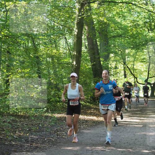 22.09.2024 - 32. Volkslauf durch das schöne Alstertal Miley Keyser http://msf.ph/oto/7137147 22.09.2024 10:22:50 Laufen 15, 1023, 1016, 1643 meine-sportfotos.de