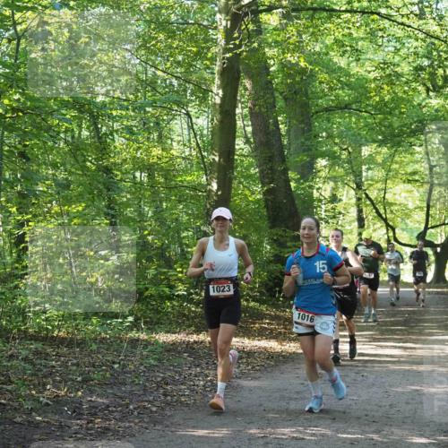 22.09.2024 - 32. Volkslauf durch das schöne Alstertal Miley Keyser http://msf.ph/oto/7137148 22.09.2024 10:22:50 Laufen 1023, 15, 1016, 1043 meine-sportfotos.de