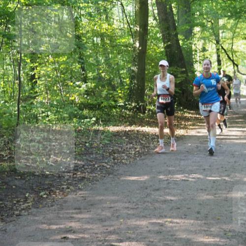 22.09.2024 - 32. Volkslauf durch das schöne Alstertal Miley Keyser http://msf.ph/oto/7137149 22.09.2024 10:22:49 Laufen 1023, 15 meine-sportfotos.de