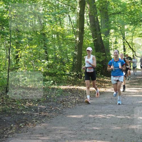 22.09.2024 - 32. Volkslauf durch das schöne Alstertal Miley Keyser http://msf.ph/oto/7137150 22.09.2024 10:22:49 Laufen 1023, 101 meine-sportfotos.de