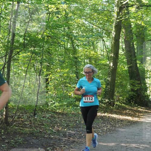 22.09.2024 - 32. Volkslauf durch das schöne Alstertal Miley Keyser http://msf.ph/oto/7137152 22.09.2024 10:22:38 Laufen 2, 1112 meine-sportfotos.de