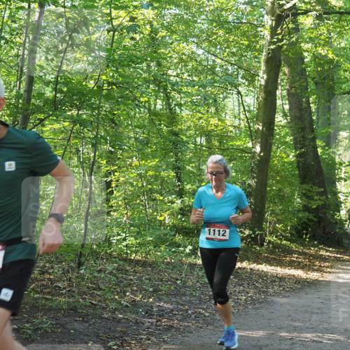 22.09.2024 - 32. Volkslauf durch das schöne Alstertal Miley Keyser http://msf.ph/oto/7137153 22.09.2024 10:22:38 Laufen 1612, 1112 meine-sportfotos.de