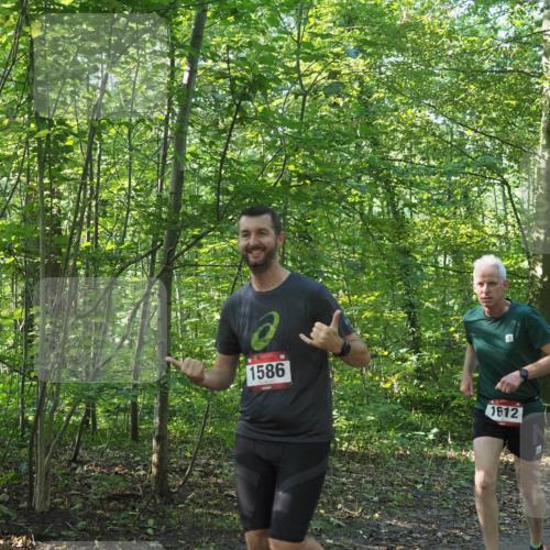 22.09.2024 - 32. Volkslauf durch das schöne Alstertal Miley Keyser http://msf.ph/oto/7137158 22.09.2024 10:22:37 Laufen 1586, 1612, 1112 meine-sportfotos.de